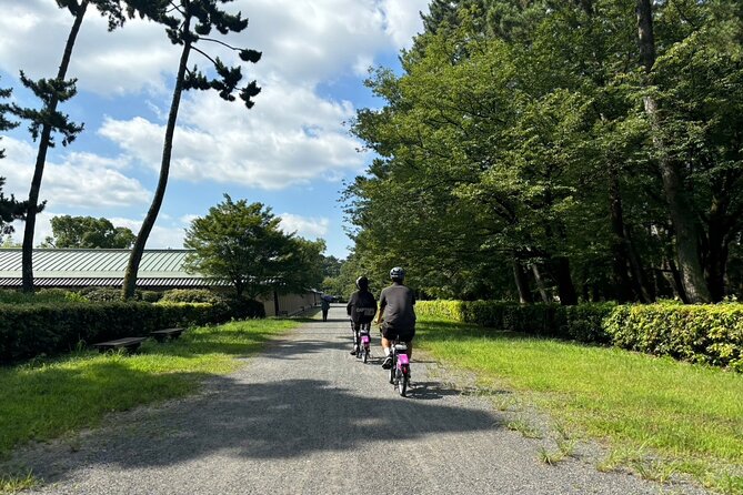 Private: E-bike Cycling Tour in Kyoto - Pricing and Booking