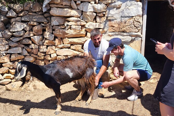 Private E-bike Guided Ode-yssey Uncharted Tour in Naxos - Tour Duration and Pace
