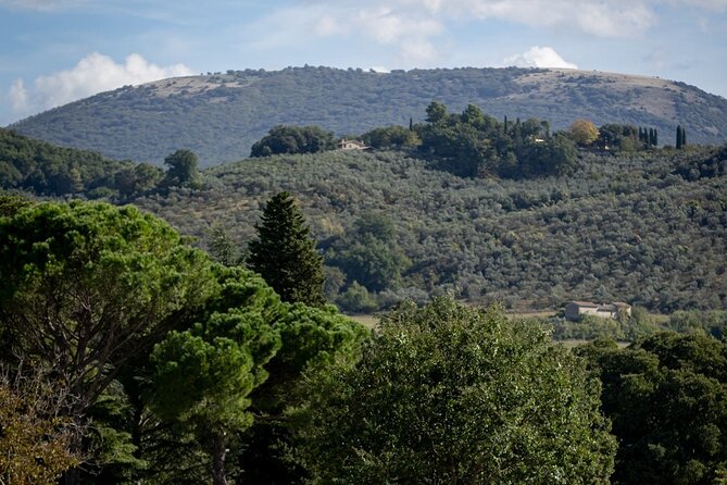 Private E Bike Tour in the Olivata Area Assisi Spello Foligno - Nearby Attractions