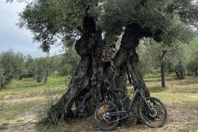 Private E Bike Tour in the Olivata Area Assisi Spello Foligno - Worth The Stay