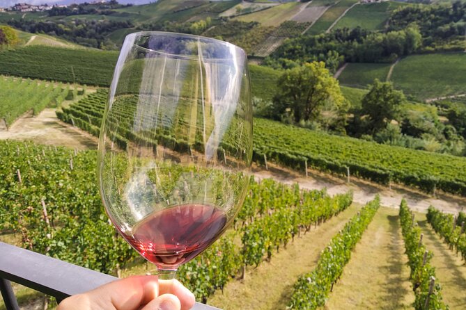 Private E-Bike Tour Langhe Del Barbaresco - Asphalt Only - Meeting and End Point