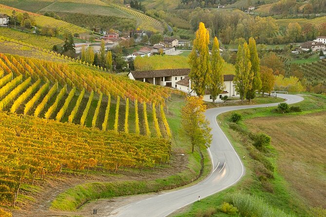 Private E-Bike Tour Langhe Del Barbaresco - Asphalt Only - Route and Highlights