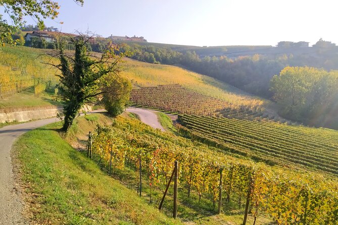 Private E-Bike Tour Langhe Del Barbaresco - Asphalt Only - Optional Add-Ons