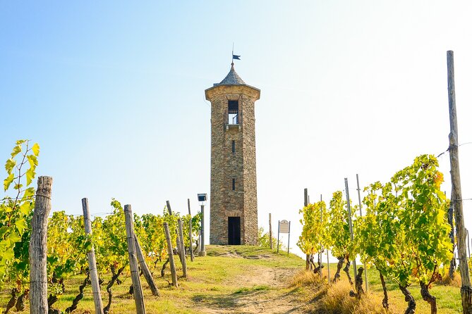 Private E-Bike Tour Monferrato Di Canelli - Asphalt Only - Quick Points