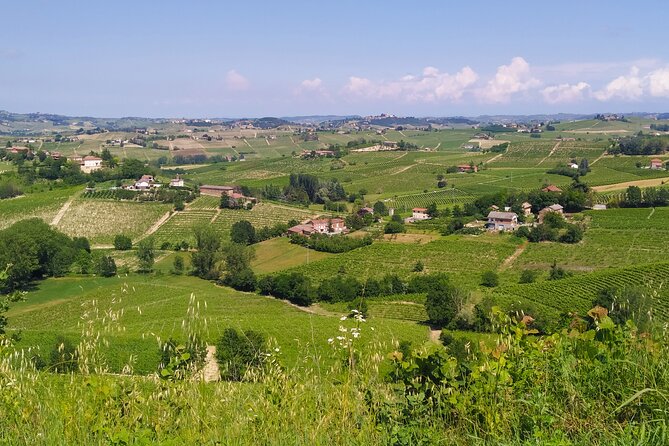 Private E-Bike Tour Monferrato Di Canelli - Asphalt Only - Included Experiences