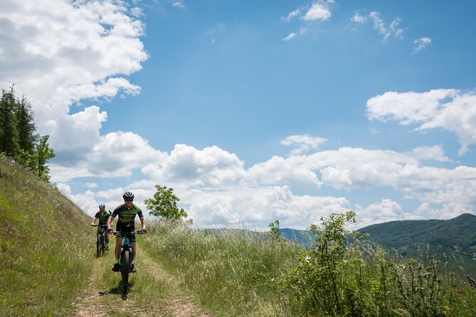 Private E-Bike Tour to Discover Alto Molise - Key Points
