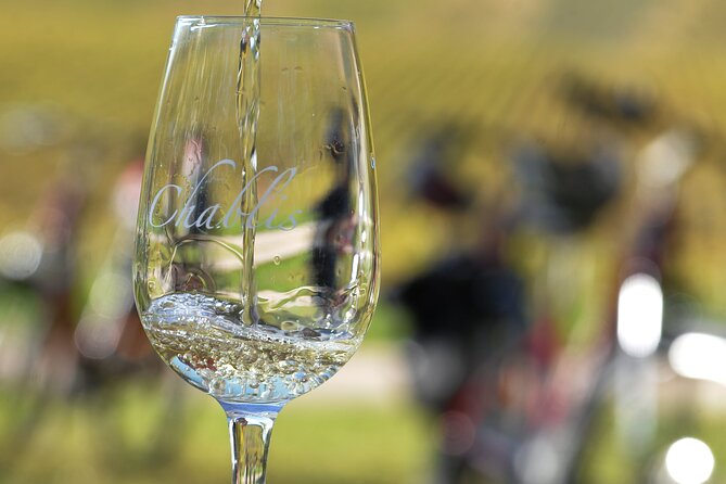 Private E-Bike Tour With a Guide in the Vineyards of Chablis - Good To Know