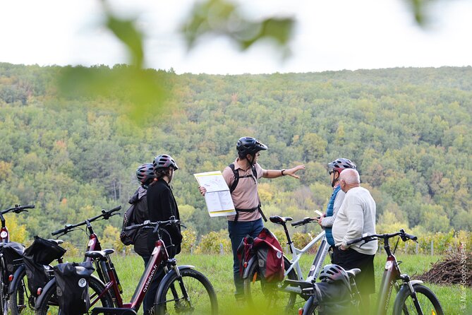 Private E-Bike Tour With a Guide in the Vineyards of Chablis - Health and Accessibility