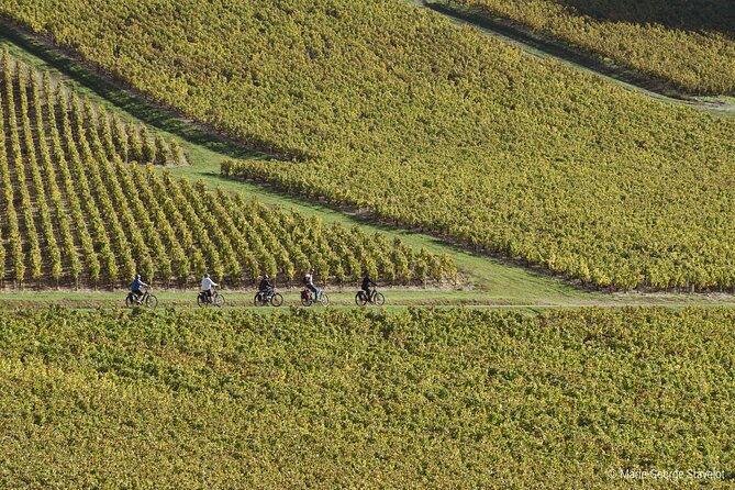 Private E-Bike Tour With a Guide in the Vineyards of Chablis - Exploring Chablis Vineyards