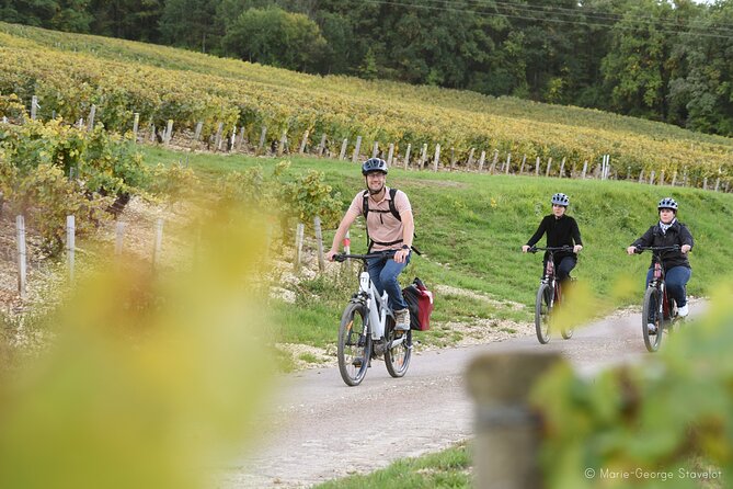 Private E-Bike Tour With a Guide in the Vineyards of Chablis - Tasting Renowned Wines