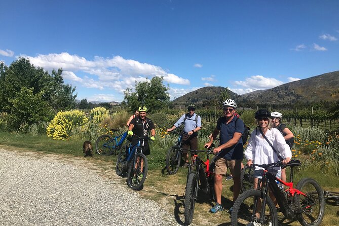 Private E-Bike Wine Tour in Wanaka - Meeting and Pickup