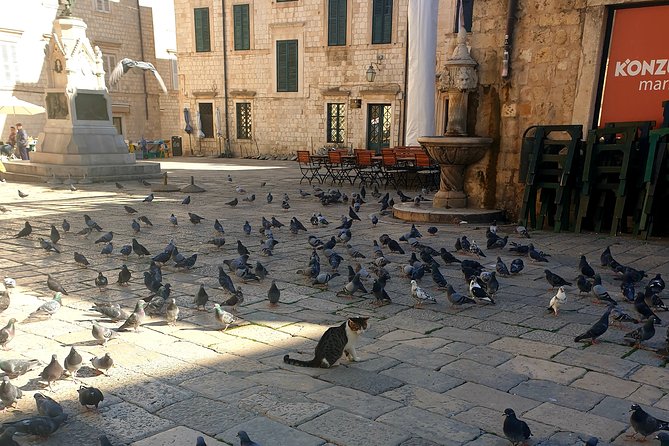 Private Early Morning Dubrovnik Tour - Inclusions