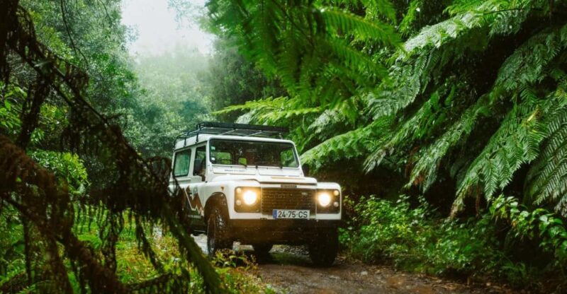 Private East Side - Santana Highlights 4x4 Experience - Booking Information