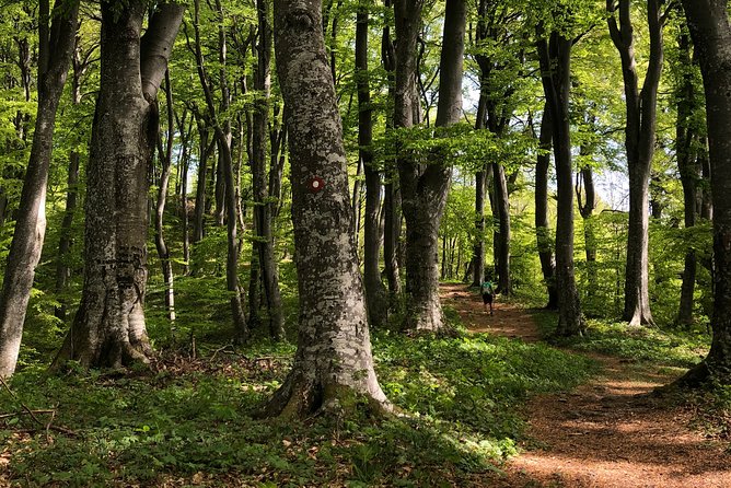 Private Eclectic Hiking Experience of Samobor Hills - Accessibility and Recommendations