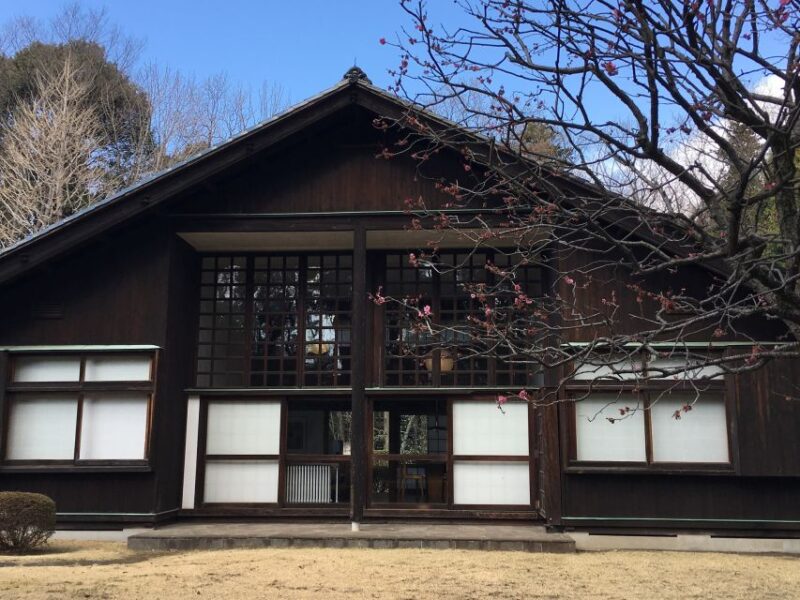 Private Edo-Tokyo Open Air Architectural Museum Tour - Tour Details Explained