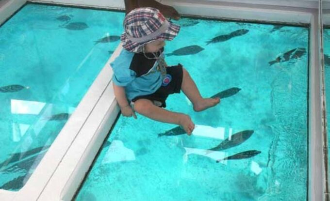 Private Egypt Packages Tour 9 Days 8 Nights From Basel - Coastal Strolls and Coral Reefs