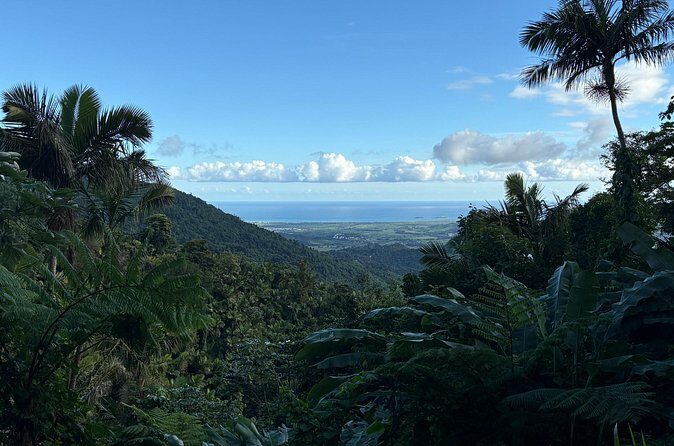 Private El Yunque Adventure Hidden Waterfalls & El Toro Trail! - The Sum Up