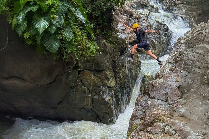Private El Yunque Half-Day Tour with Transport - An In-Depth Look at the El Yunque Private Tour