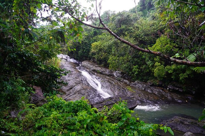 Private El Yunque Waterslides and Luquillo Beach Tour - Private Guide and Exploration