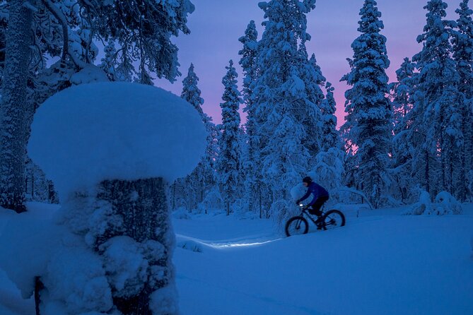 Private Electric Fat Bike Tour in Saariselkä - Meeting and Logistics