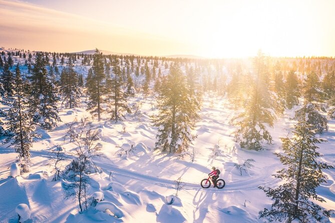 Private Electric Fat Bike Tour in Saariselkä - Biking Through Saariselkä