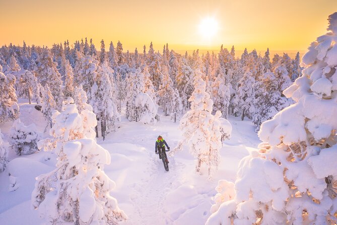 Private Electric Fat Bike Winter Tour in Rovaniemi - Whats Included