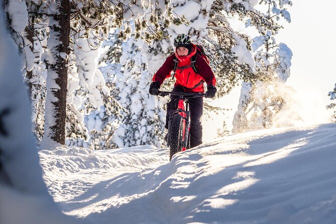Private Electric Fat Bike Winter Tour in Rovaniemi - Silence of Arctic Forests