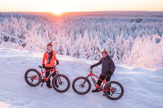 Private Electric Fat Bike Winter Tour in Rovaniemi - Pricing and Availability