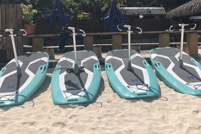 Private Electric Paddle Cruise in Bora Bora - The Practical Details