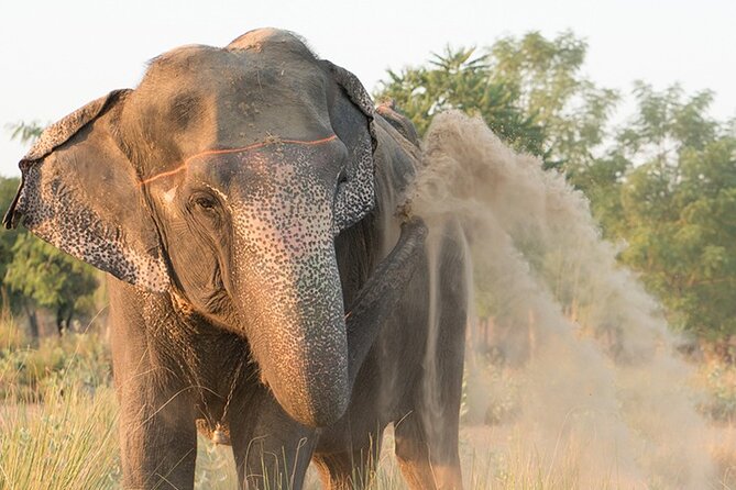 Private Elephant Sanctuary - Operational Details