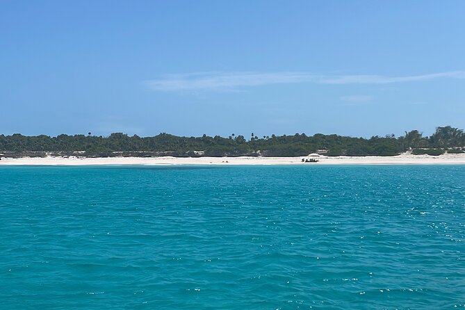 Private Eleuthera Swimming Pigs, Turtles and Pink Sand Beach - Exploring Eleutheras Natural Wonders