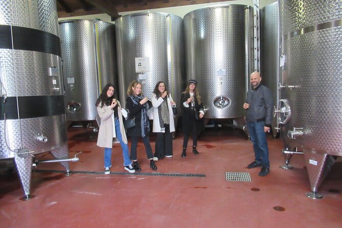 Private Emilian Food and Wine Tasting Tour in Modena - Vineyard and Cellar Experience