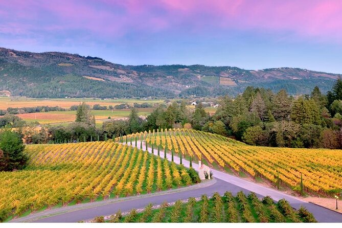 Private Enchanted Napa and Sonoma Wine Tour in SUV From SFO - Frequently Asked Questions
