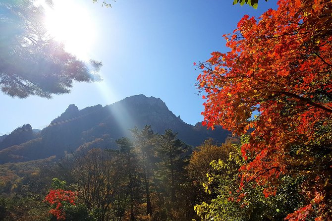 Private English Speaking Driver: Seoraksan & East Sea or Nami Island From Seoul - Exploring Seoraksan National Park