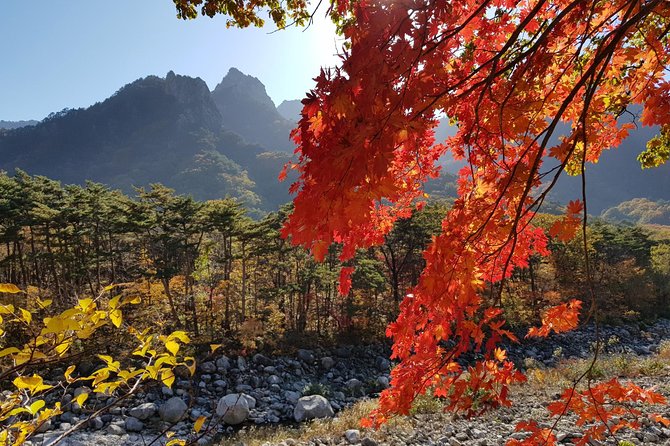 Private English Speaking Driver: Seoraksan & East Sea or Nami Island From Seoul - Private Tour Inclusions
