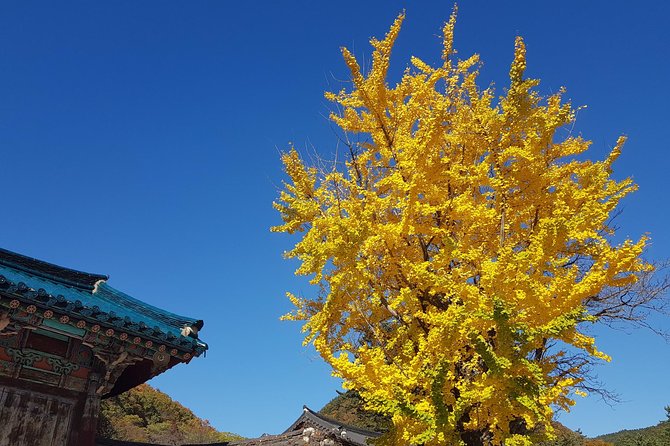 Private English Speaking Driver: Seoraksan & East Sea or Nami Island From Seoul - Booking and Cancellation Policy