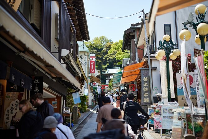 Private Enoshima and Kamakura Custom Walking Tour - Transportation and Accessibility