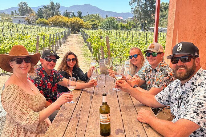 Private Ensenada Tacos and Wine Tour - Detailed Review