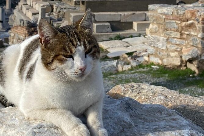 Private Ephesus and Artemis Temple Half Day Tour - Marveling at the Temple of Artemis