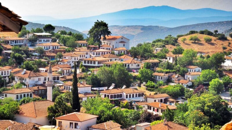 Private Ephesus and Sirince Village Tour From Kusadasi Port - Key Points
