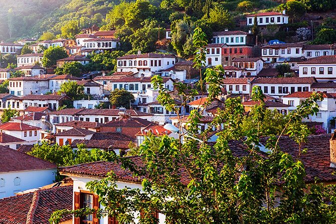 Private Ephesus and Sirince Village Tour From Kusadasi Port With Lunch - Pickup Locations and Schedule