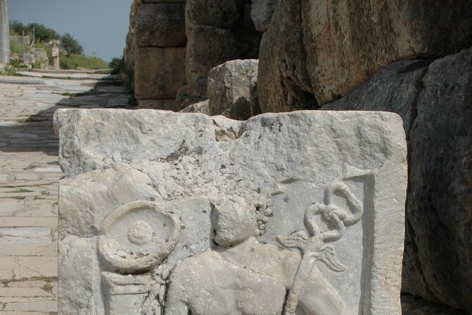 Private Ephesus Day Tour From Bodrum - Pricing and Availability