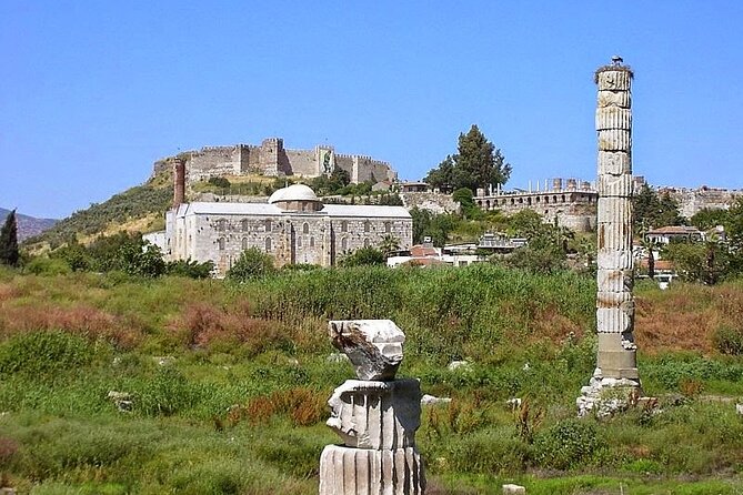Private Ephesus & Free Turkish Bath Tour From Kusadasi Port - Customer Reviews