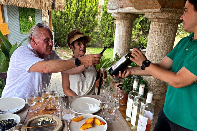 Private Ephesus Tour & Wine Tasting & Lunch - Memorable Experiences