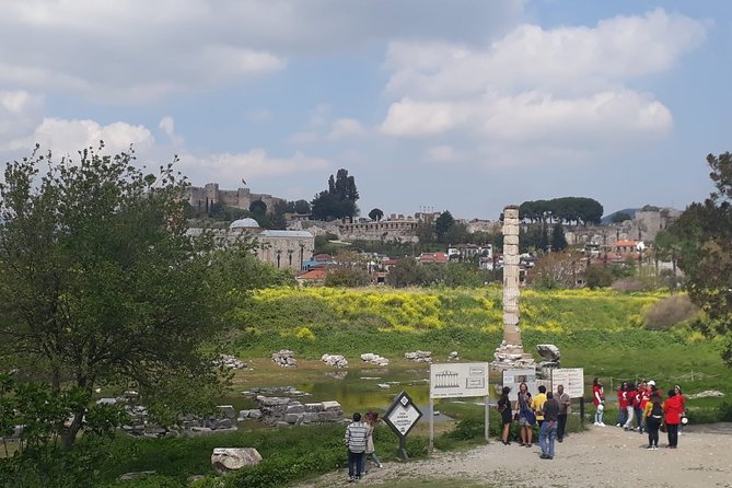 Private Ephesus Tour With Ancient Landmarks From Istanbul - Accessibility and Options