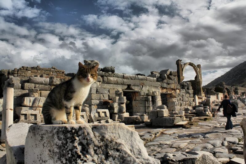 Private Ephesus,Şirince,Virgin Marry House Tour - Inclusions