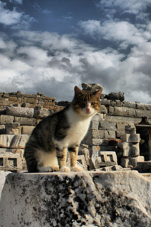 Private Ephesus,Şirince,Virgin Marry House Tour - Guided Tour Locations