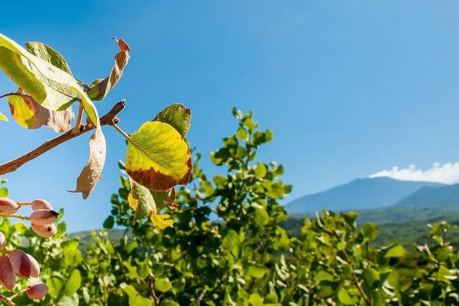 Private Etna Tour and Pistachio Lunch in a Pistachio Farm - Included Experiences