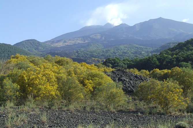 Private Etna Tour From Messina Cruise Terminal+ Lunch at Winery - Tour Schedule