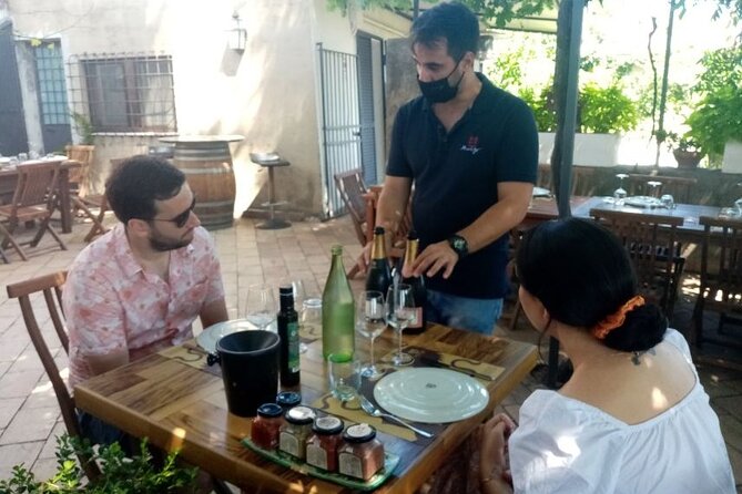 Private Etna Tour From Messina Cruise Terminal+ Lunch at Winery - Traveler Feedback